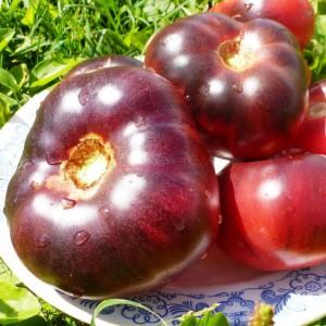 A new product from breeders that has become a favorite among gardeners - the Chocolate Miracle tomato: reviews and photos of the harvest