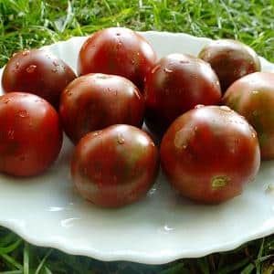 A new product from breeders that has become a favorite among gardeners - the Chocolate Miracle tomato: reviews and photos of the harvest