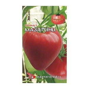 How to grow a Mazarin tomato in the country - instructions from preparing seeds to harvesting