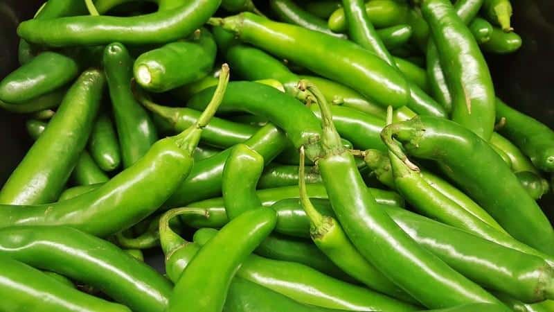 What you shouldn’t plant hot pepper next to: crop rotation rules and growing secrets