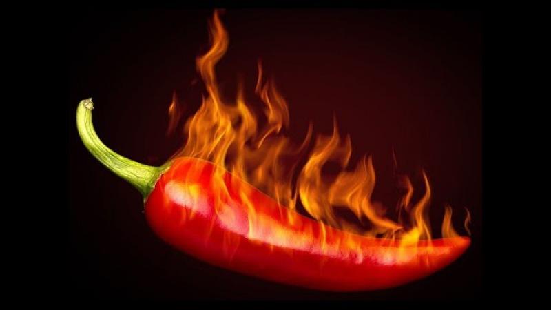What you shouldn’t plant hot pepper next to: crop rotation rules and growing secrets
