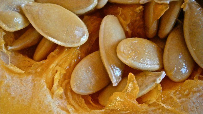 A miraculous tasty mixture - what are the benefits of pumpkin seeds and honey and how to use them correctly