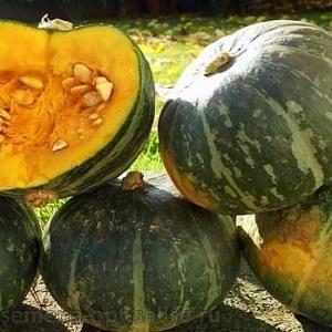The most popular varieties of green pumpkin and features of their cultivation