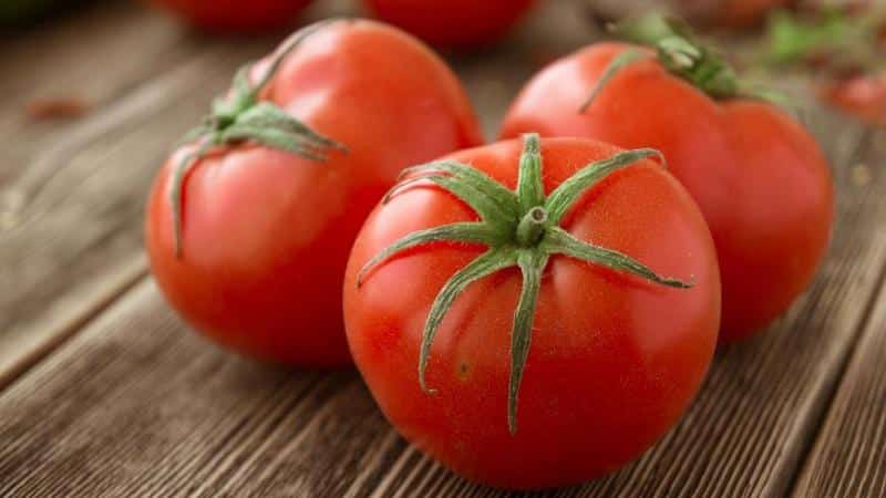 Universal early ripening tomato Volgograd: what is good and why it is worth growing it on your plot