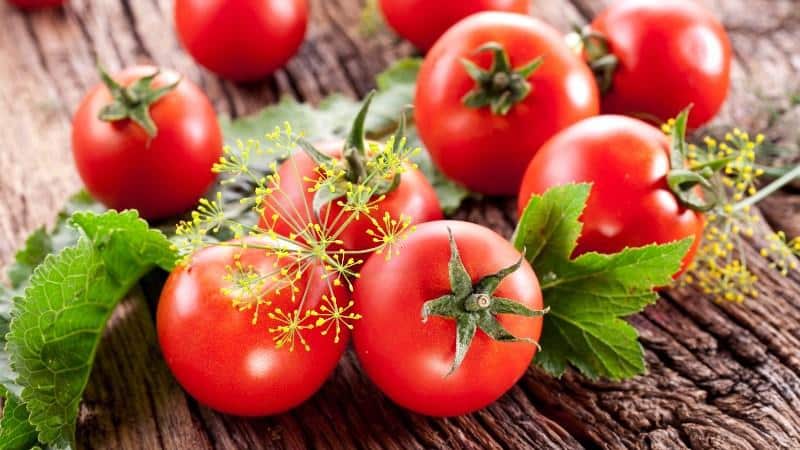 The best express recipes for how to pickle tomatoes in a bag quickly and tasty: ingredients, instructions and tips from housewives