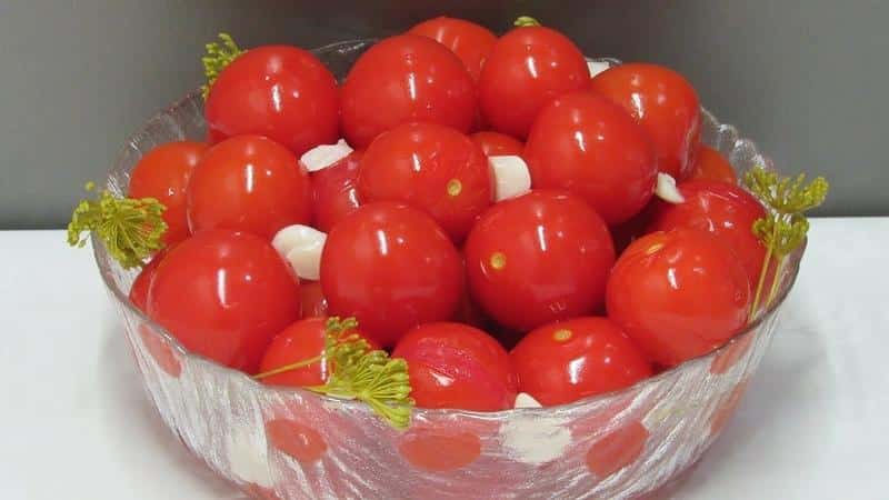 The best express recipes for how to pickle tomatoes in a bag quickly and tasty: ingredients, instructions and tips from housewives