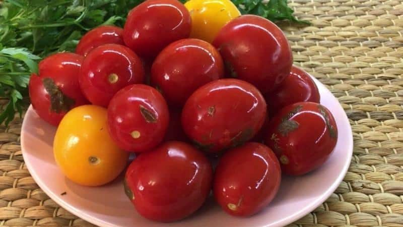 The best express recipes for how to pickle tomatoes in a bag quickly and tasty: ingredients, instructions and tips from housewives