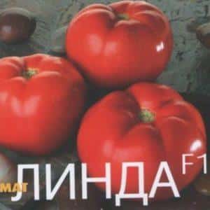 Detailed description of Linda F1 tomatoes - features of fruits and seeds