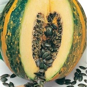Features of growing gymnosperm pumpkin and what seeds you should pay attention to