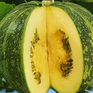 Features of growing gymnosperm pumpkin and what seeds you should pay attention to