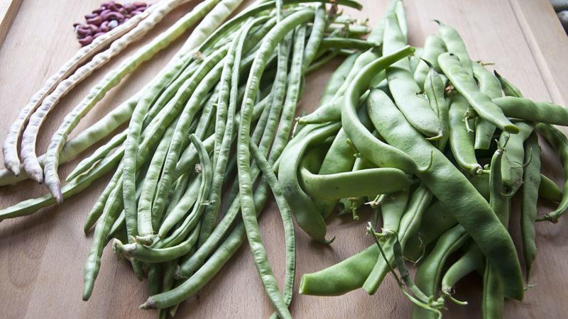 What is the difference between green beans and green beans: photos of legumes and the difference between them