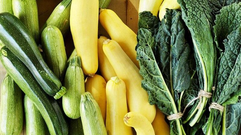 How do zucchini and zucchini differ in appearance, taste and other properties: let’s look at it in detail and no longer confuse it
