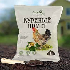 How to feed tomatoes during fruiting in a greenhouse: the best formulations and instructions for the procedure