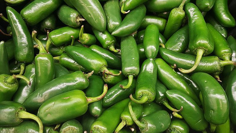 What is Jalapeño pepper, how is it grown and used?