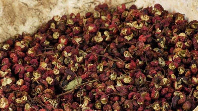 What kind of seasoning is Sichuan pepper, how to use it correctly and what can be replaced with it