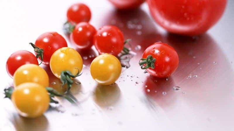 How to cook delicious pickled cherry tomatoes: the best recipes and recommendations from experienced housewives