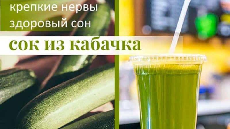 How to drink zucchini juice: benefits and harm to the body, rules of use in folk medicine and cosmetology