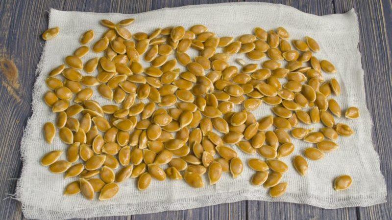How to dry pumpkin seeds at home: choose the best method and follow the instructions