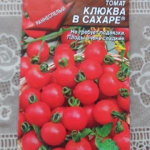 A bright and tasty decoration for garden beds - tomato Cranberry in sugar