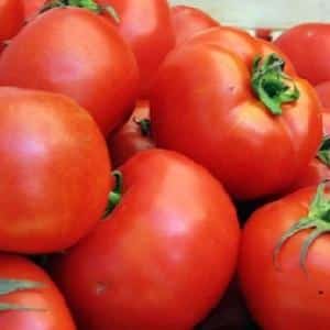 Large and easy-to-care tomato Family f1: grow it yourself, avoiding mistakes