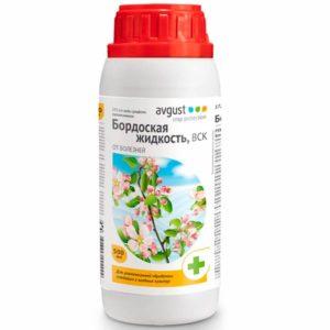 Instructions for treating raspberries in summer against diseases and pests