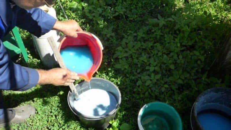 Treating and preventing tomato diseases: how to treat tomatoes with Bordeaux mixture - step-by-step instructions for beginners