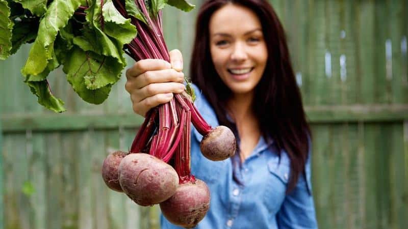 Is it possible to eat beets if you have gout: let’s look at the arguments for and against