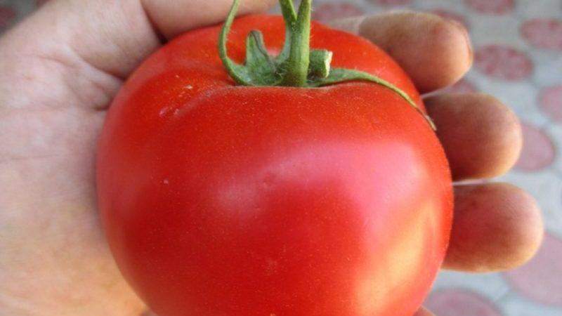 Detailed description of Linda F1 tomatoes - features of fruits and seeds