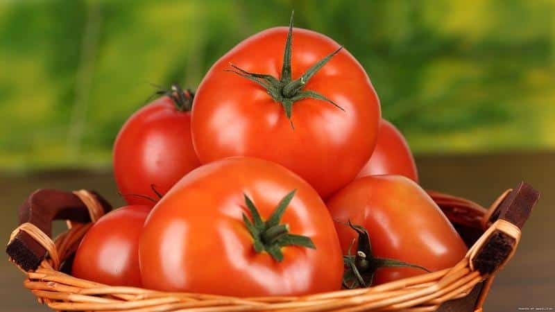 A variety that is positive in all respects from Russian breeders is the Parodist tomato.