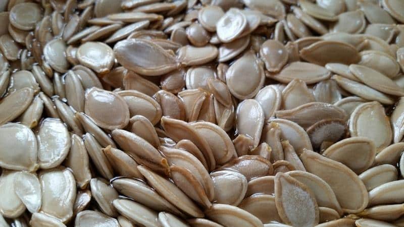 The benefits and harms of pumpkin for the liver: the medicinal properties of the vegetable and the rules for its use
