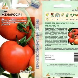 Stable and easy to care for, the resilient Zhenaros tomato is a gift from Dutch breeders