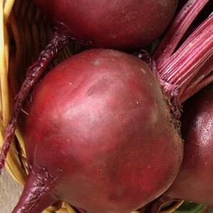 One of the most popular varieties among farmers is Pablo beets