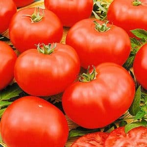 An unpretentious, but very tasty tomato variety. Market Miracle with a rich harvest - a favorite of experienced gardeners.