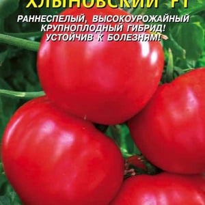 Simple and trouble-free tomato Khlynovsky: characteristics and description of the variety