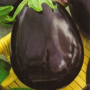 Review of the Nutcracker eggplant variety: advantages and disadvantages, nuances of cultivation