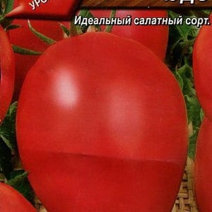 Universal, productive, early ripening and so beloved by summer residents, the Siberian Miracle tomato