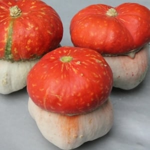 What does the decorative turban-shaped pumpkin Red Riding Hood look like and why grow it?