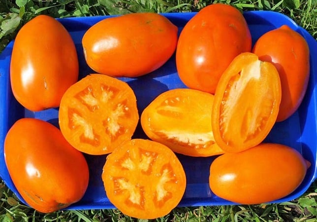 Assortment of Koenigsberg tomatoes: descriptions of varieties and tips for effective cultivation