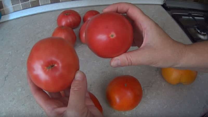 How to prepare tomato seeds at home and get a winter harvest from them - advice from experienced gardeners