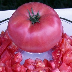 Hybrid variety from Japanese breeders - Pink Paradise F1 tomato