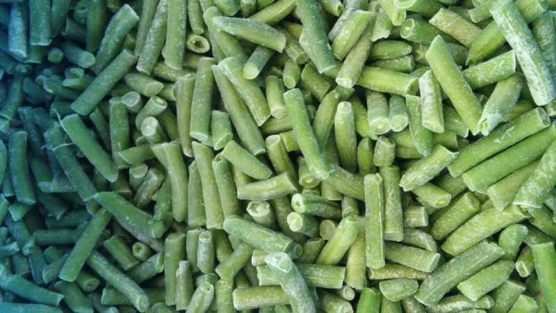 Getting ready for winter: how to freeze beans while preserving their beneficial properties and what to cook from them later