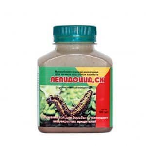 How to get rid of cutworms on tomatoes once and for all?