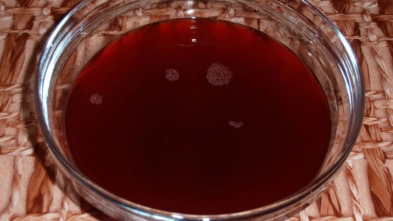 How to properly use beetroot decoction for various diseases: benefits and harms