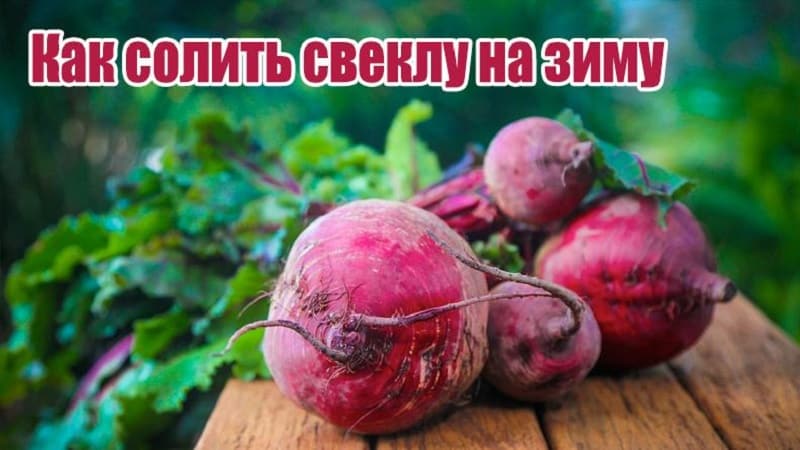 How to pickle beets quickly and tasty: an express recipe for guests and ways to preserve vegetables for the winter