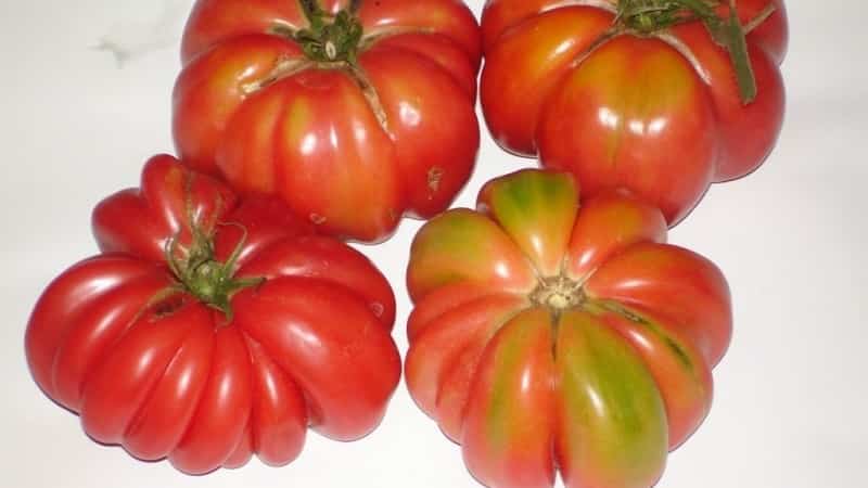 An extremely unusual variety from Siberian breeders - the Japanese crab tomato, which will not leave anyone indifferent
