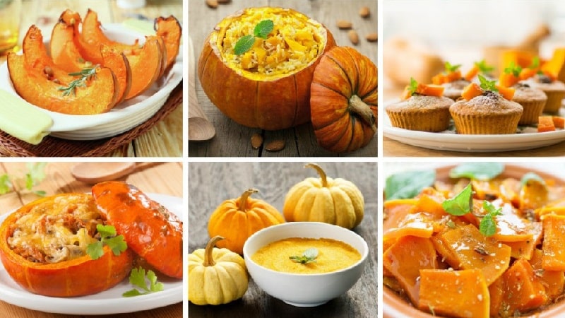 Tasty and healthy medicine from your own garden: pumpkin treatment for a number of diseases