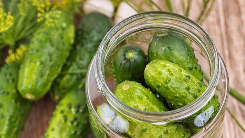 The best recipes for pickled cucumbers with basil for the winter