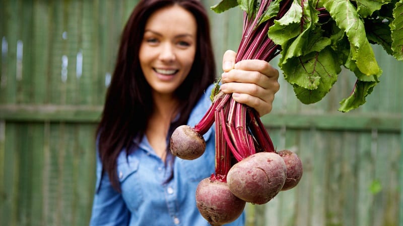 Beneficial properties of beets for women: how to use the vegetable with maximum benefits for beauty and health