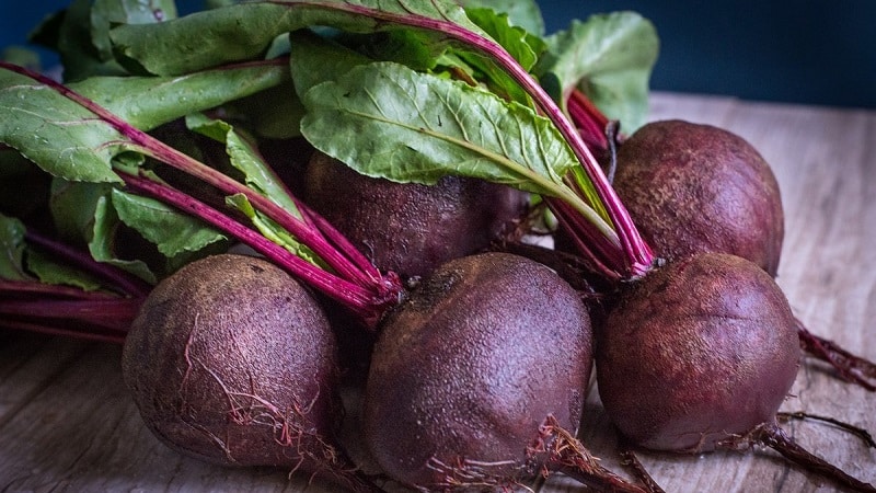Beneficial properties of beets for women: how to use the vegetable with maximum benefits for beauty and health