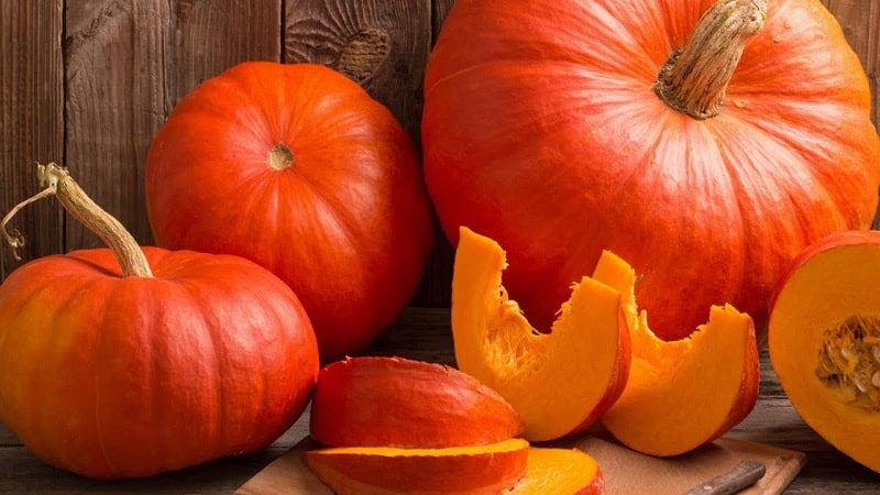 The benefits and harms of pumpkin for the body: composition and properties of the vegetable, rules for its use